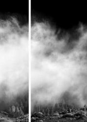 Peter Schl�r: Pedro Gil, 2010, Fineart-Pigmentprint/Diasec
