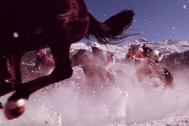 Galopprennen - Im Schnee in St. Moritz/ Schweiz. Februar 1975 � Harald Schmitt
