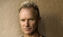 Sting