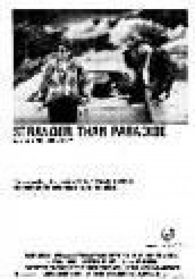 Stranger than Paradise