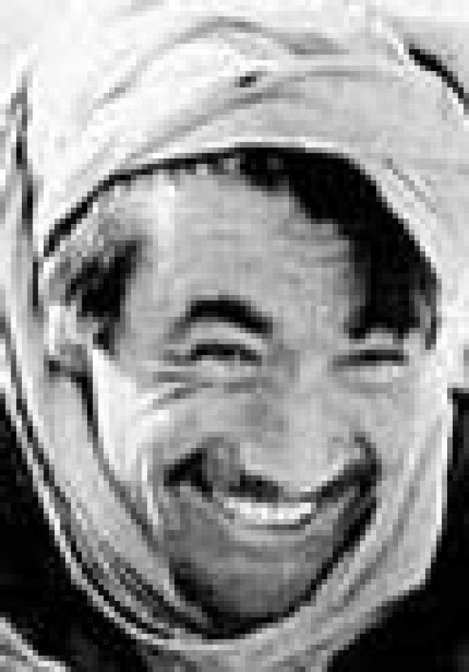 Der Geschmack der Kirsche