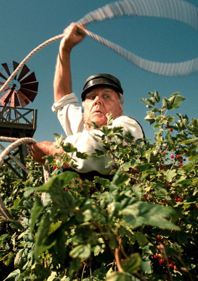 Die kleinen Bankräuber