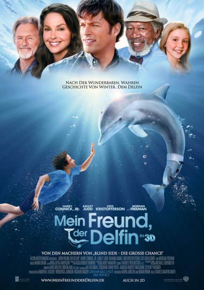 Mein Freund, der Delfin
