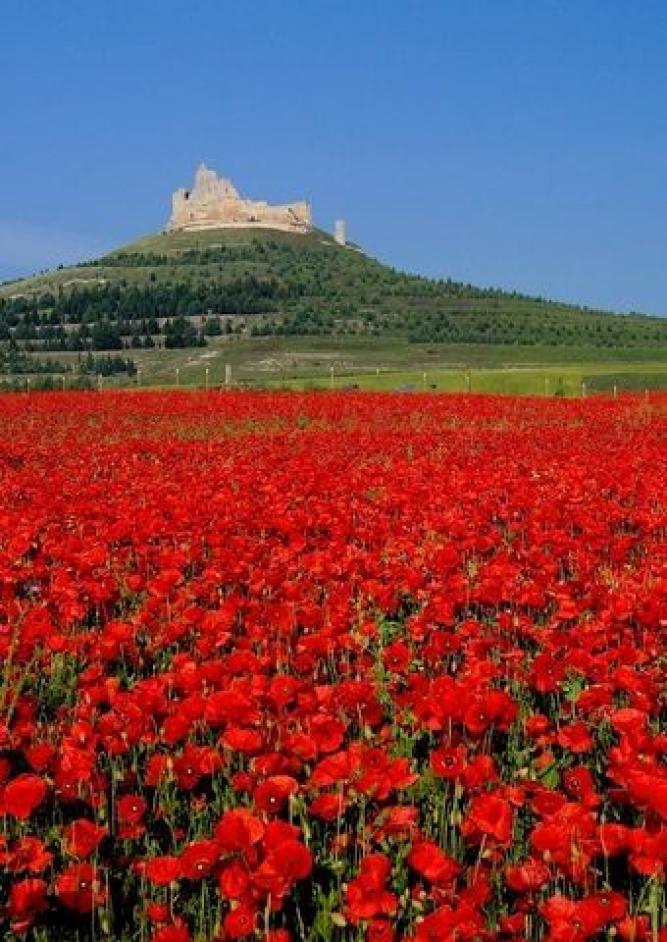 Jakobsweg ... die Seele atmen lassen
