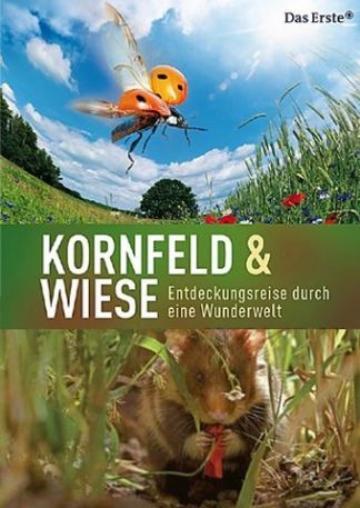 Kornfeld und Wiese - Entdeckungsreise durch eine Wunderwelt