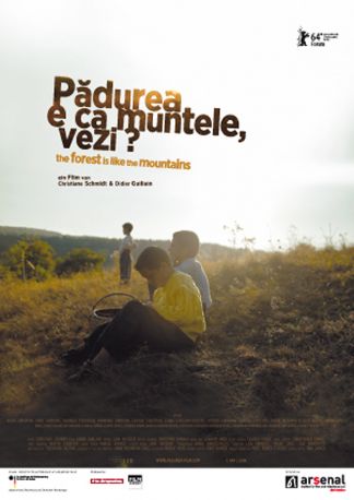 Der Wald ist wie die Berge - The Forest is Like the Mountains