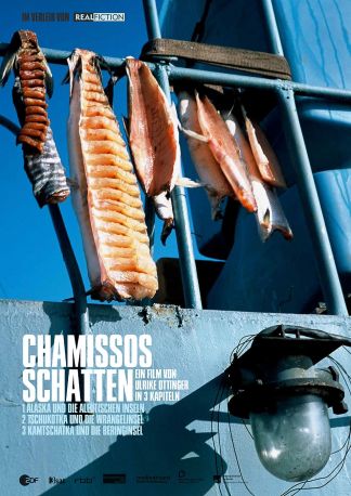 Chamissos Schatten: Kapitel 1 - Alaska und die aleutischen Inseln