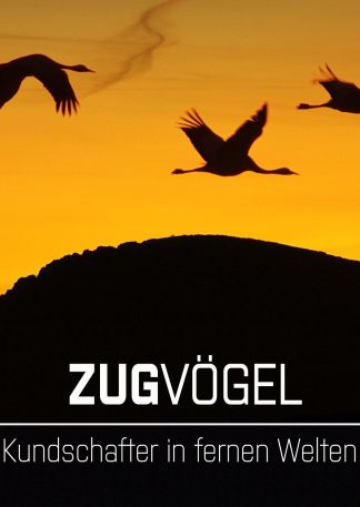 Zugvögel - Kundschafter in fernen Welten