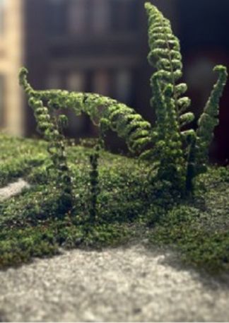 Golden Shorts: Naturfreunde