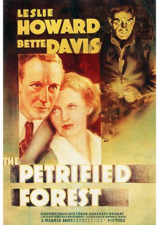 Der versteinerte Wald