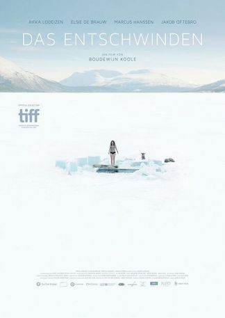 Das Entschwinden