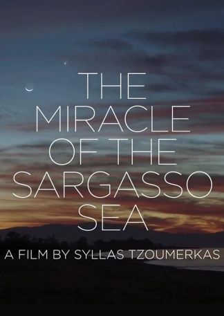 Das Wunder im Meer von Sargasso