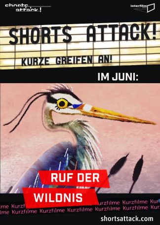 Shorts Attack: Ruf der Wildnis