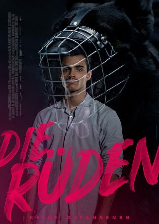 Die Rüden