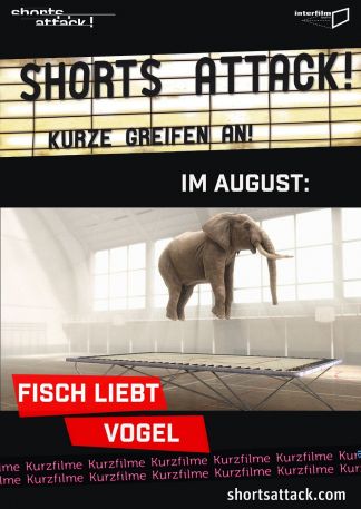 Shorts Attack 2020: Fisch liebt Vogel
