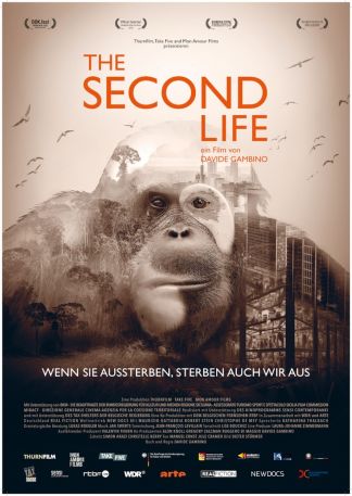 The Second Life - Das zweite Leben