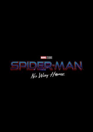 Spider-Man: No Way Home - The more Fun Stuff Version