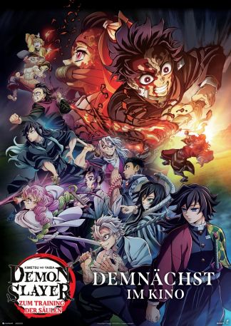 Demon Slayer: Kimetsu No Yaiba - Zum Training der Säulen