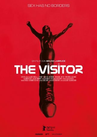 The Visitor