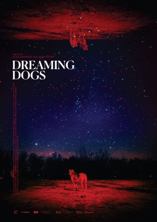 Dreaming Dogs