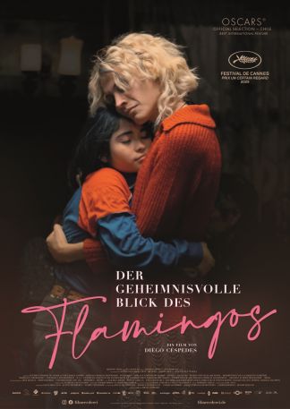 Der geheimnisvolle Blick des Flamingos