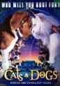 Cats & Dogs - Wie Hund und Katz