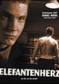 Elefantenherz